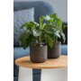 Pottery Pots Rough Charlie ronde plantenbak zwart